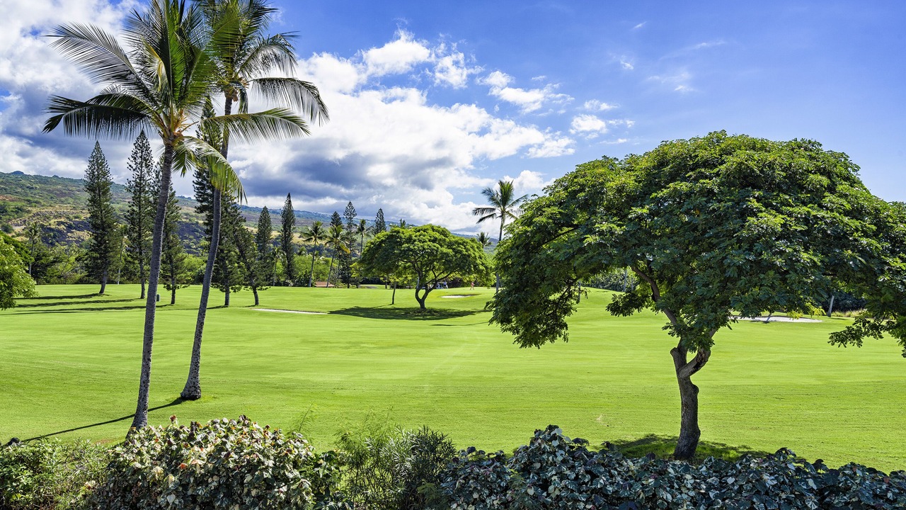 Photo of Others in Keauhou