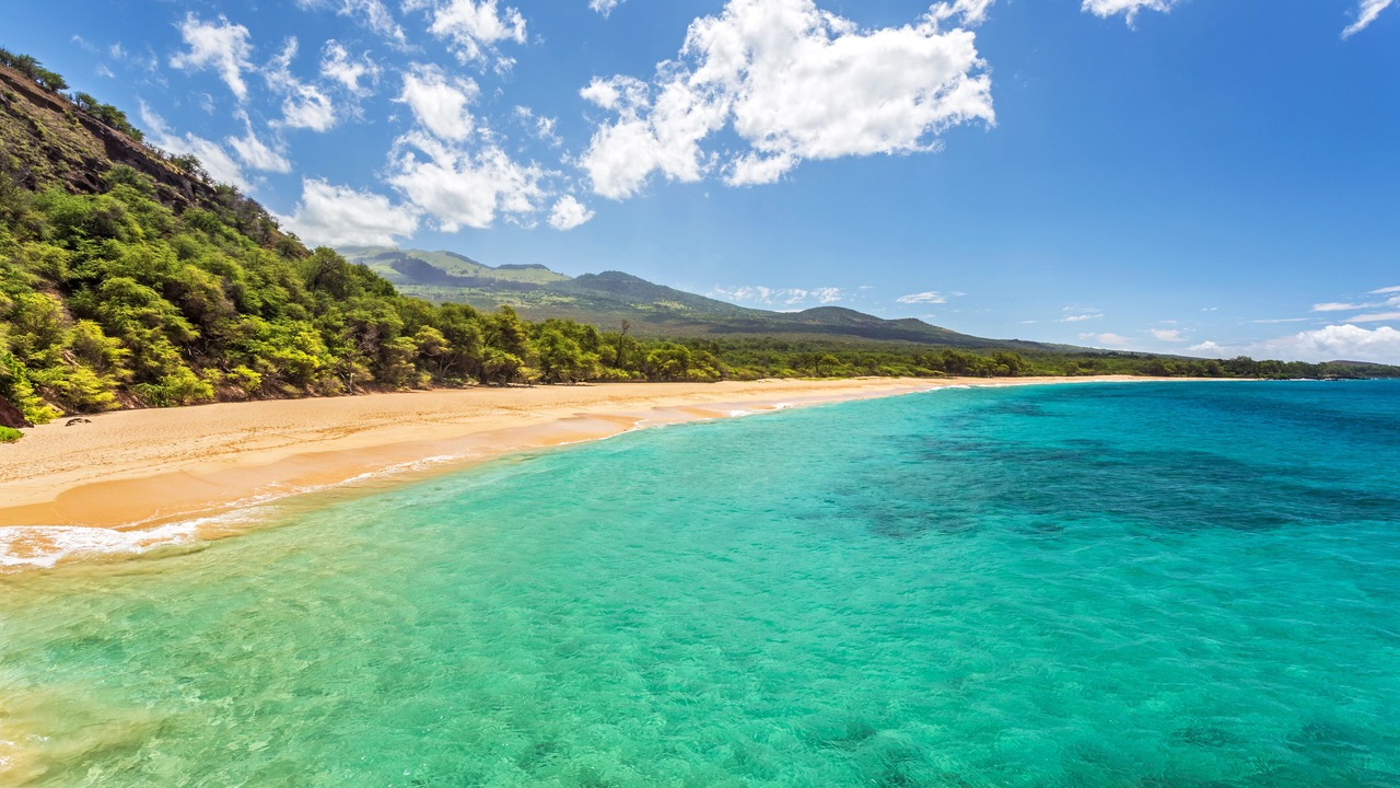 Photo of Others in Wailea