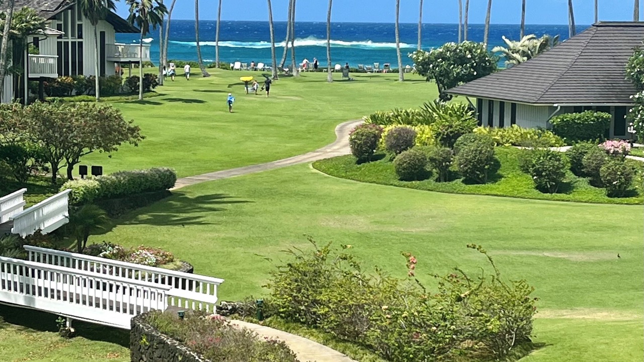 Photo of Others in Poipu