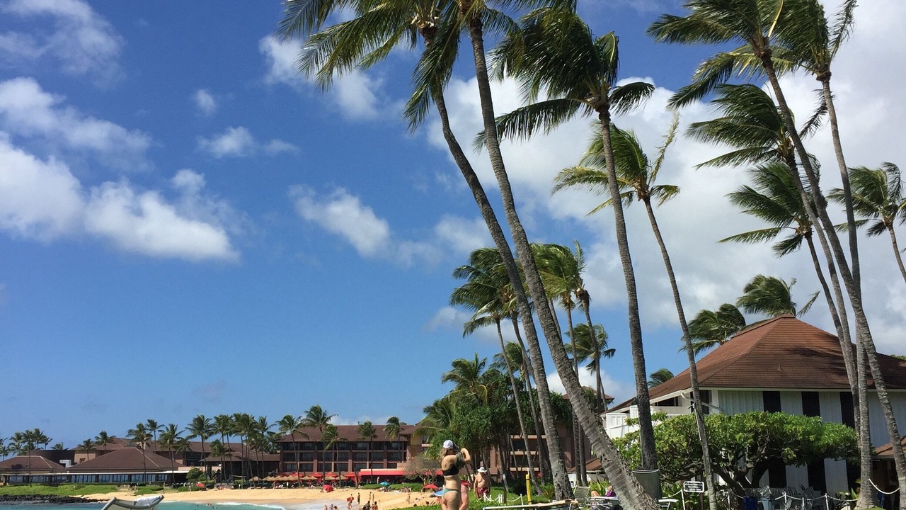 Photo of Others in Poipu