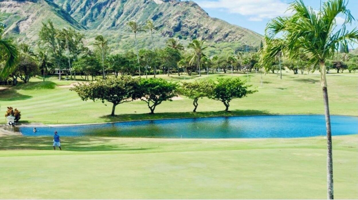 Photo of Others in Hawaii Kai