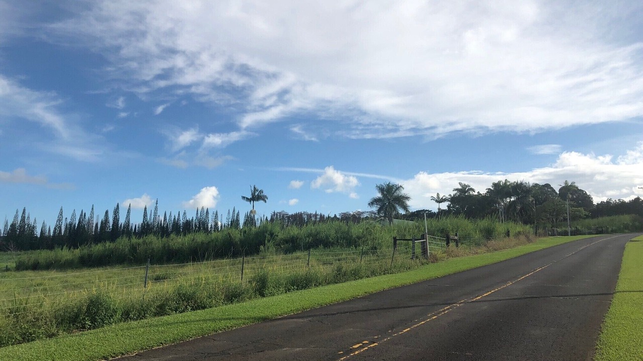Photo of Others in Hakalau