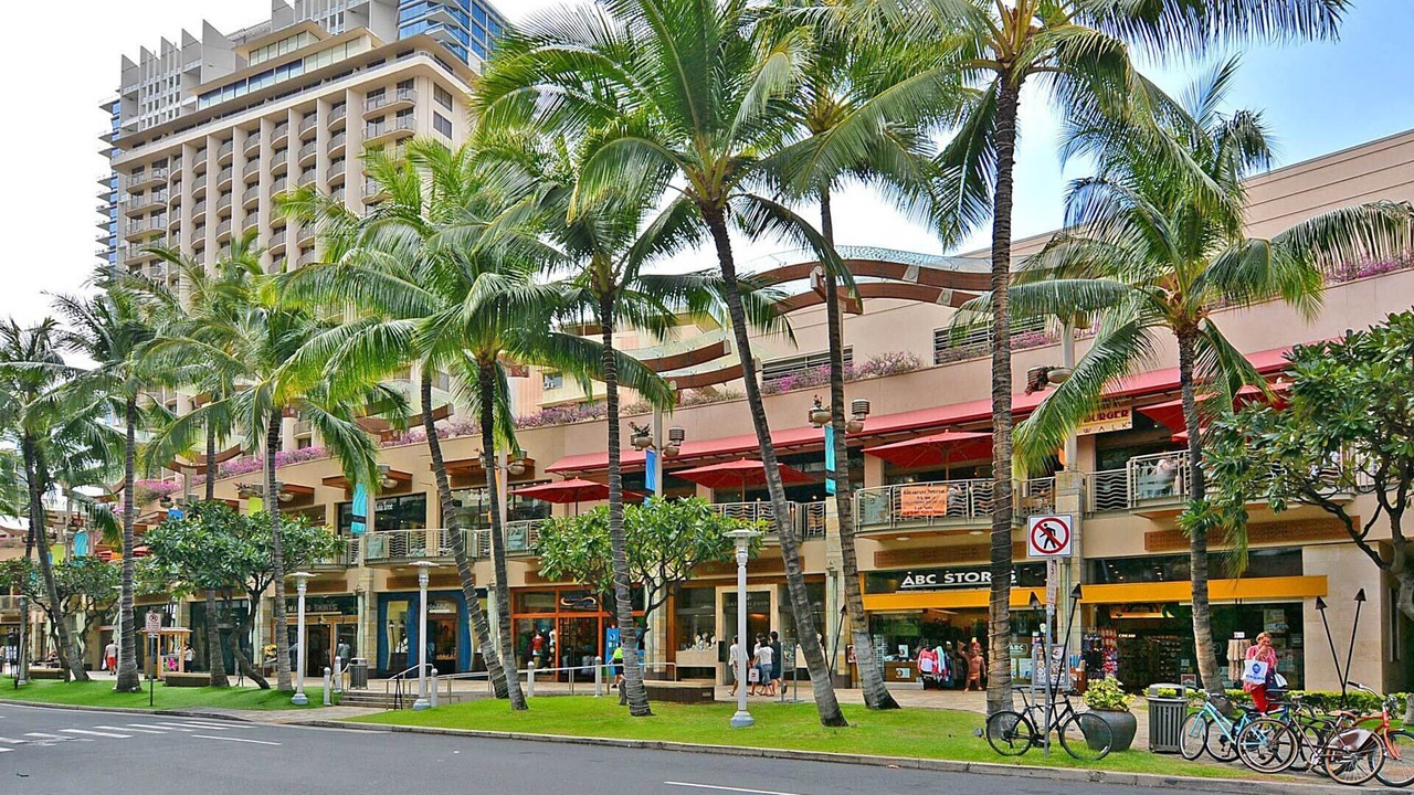 Photo of Others in Waikiki