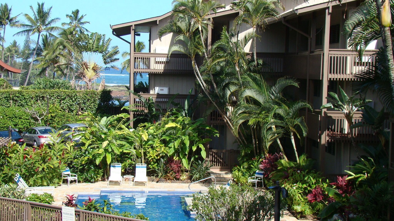 Photo of Others in Wailua