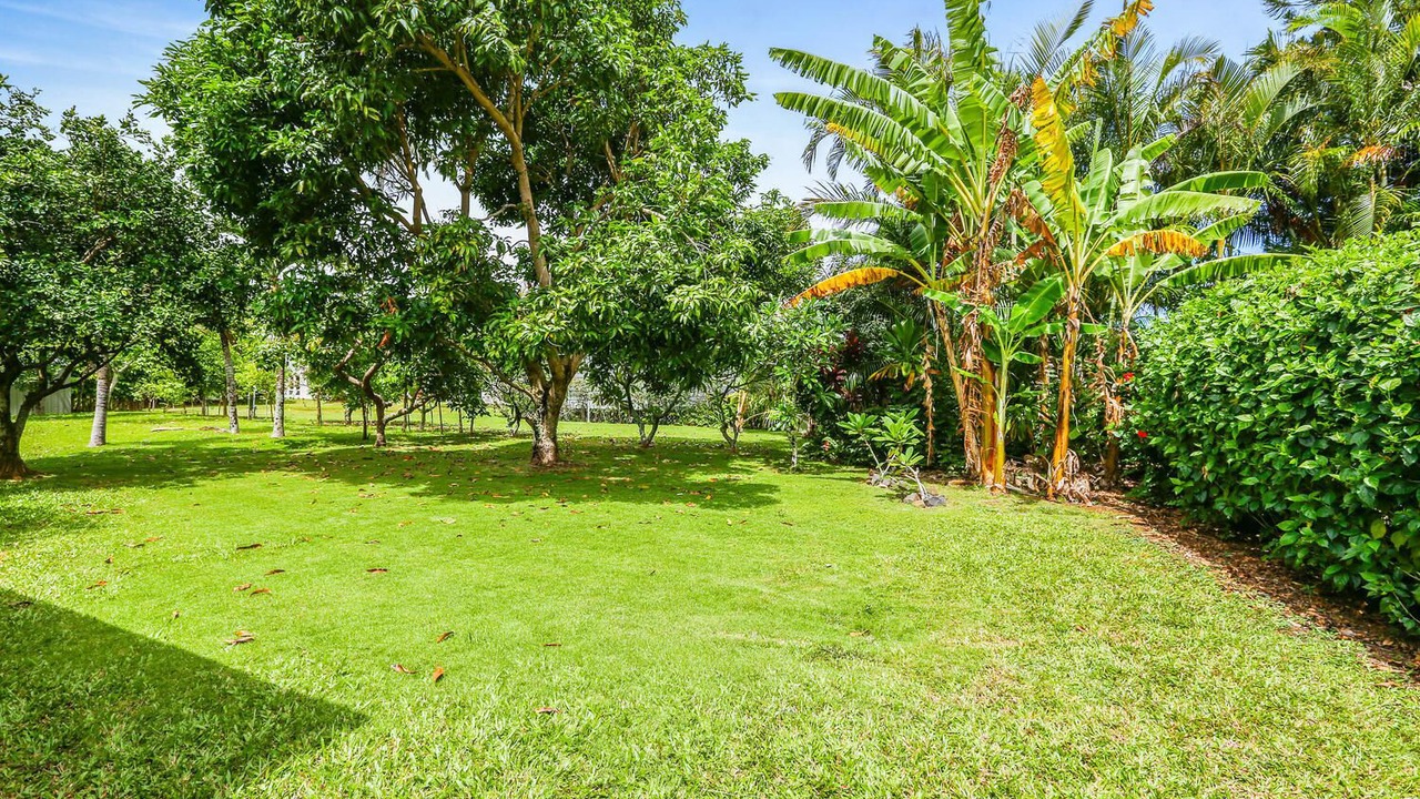 Photo of Others in Princeville