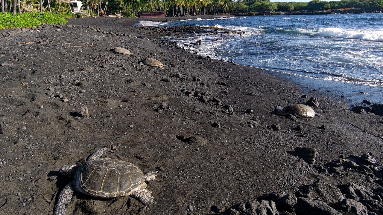 Photo of Others in Volcano