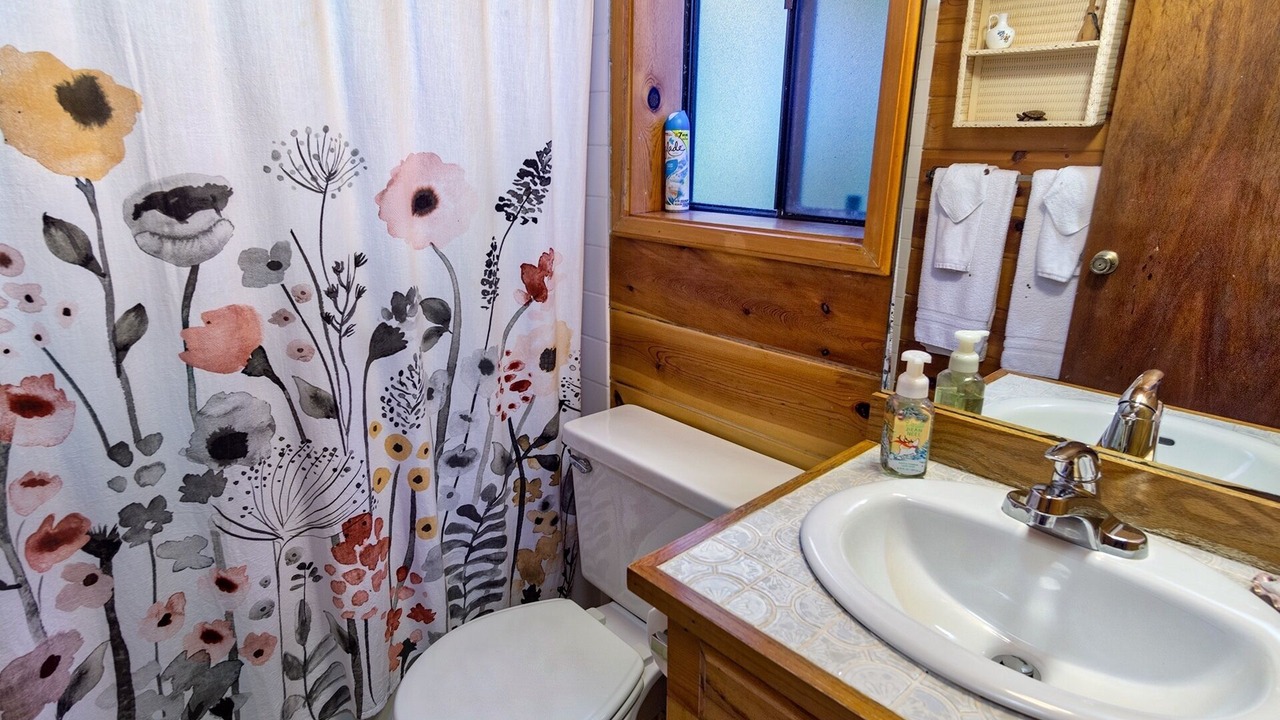 Photo of Bathroom in Volcano