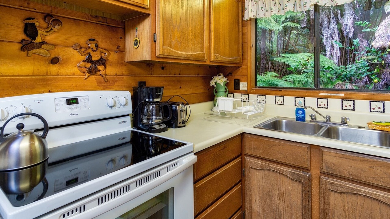 Photo of Kitchen in Volcano