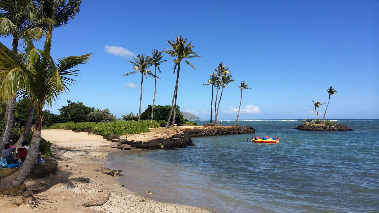 Photo of Others in Palolo
