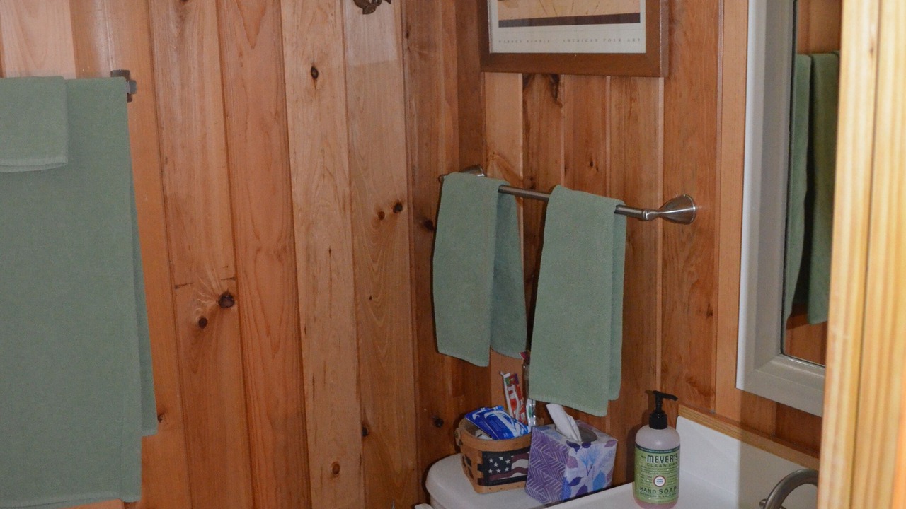 Photo of Bathroom in Cedar Mountain