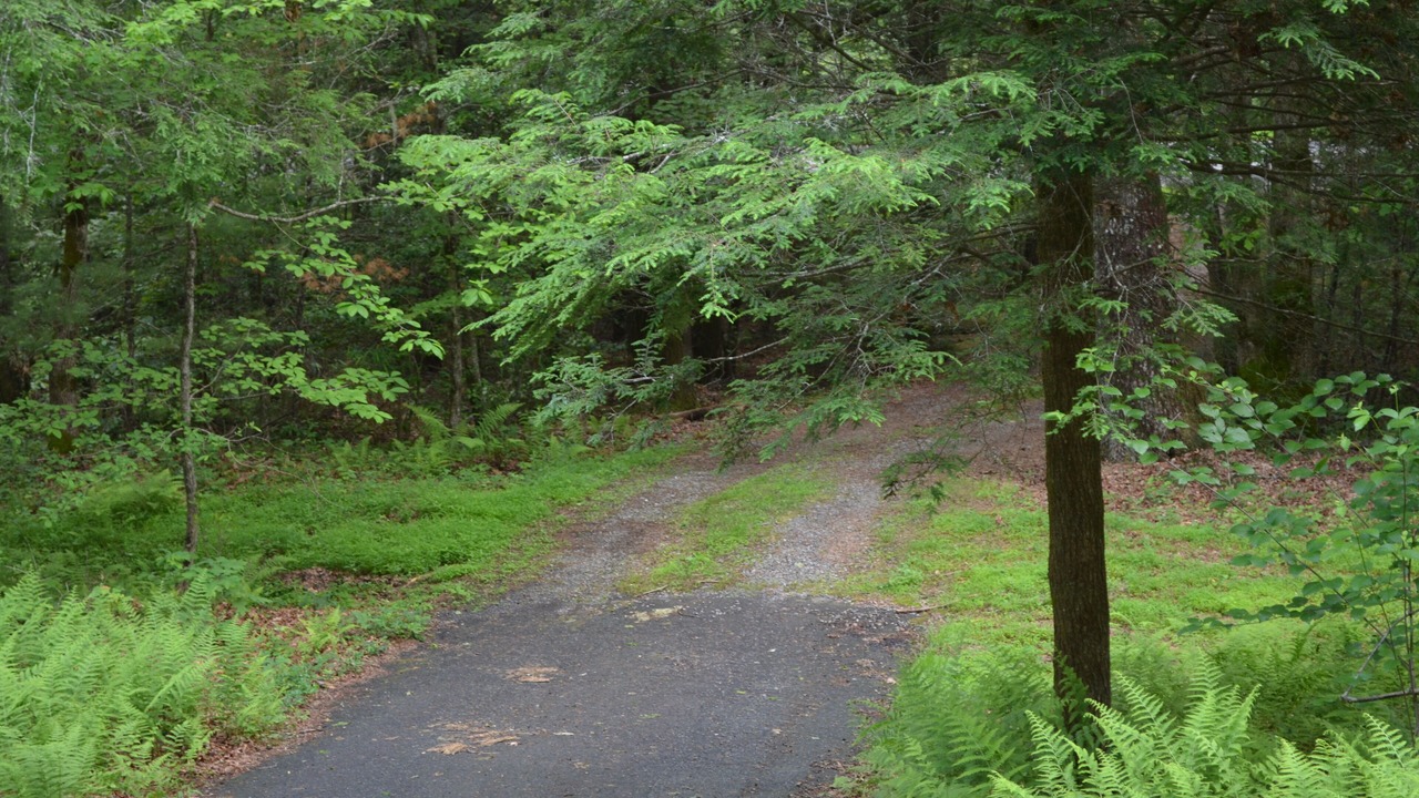 Photo of Others in Cedar Mountain