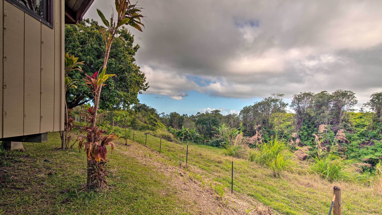 Photo of Others in Hilo