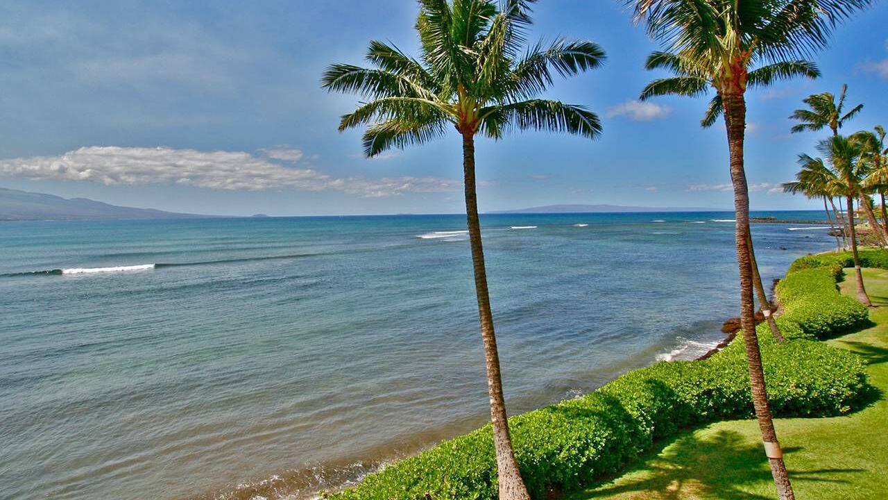 Photo of Others in Maalaea