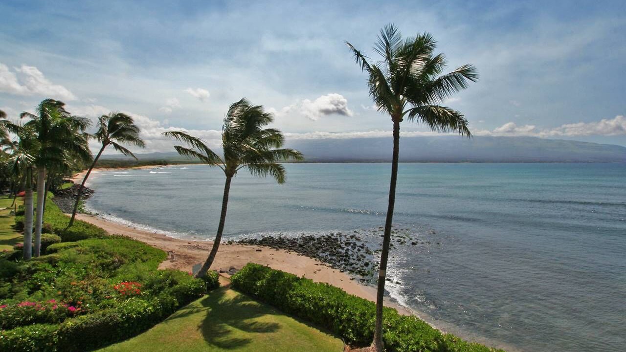Photo of Others in Maalaea