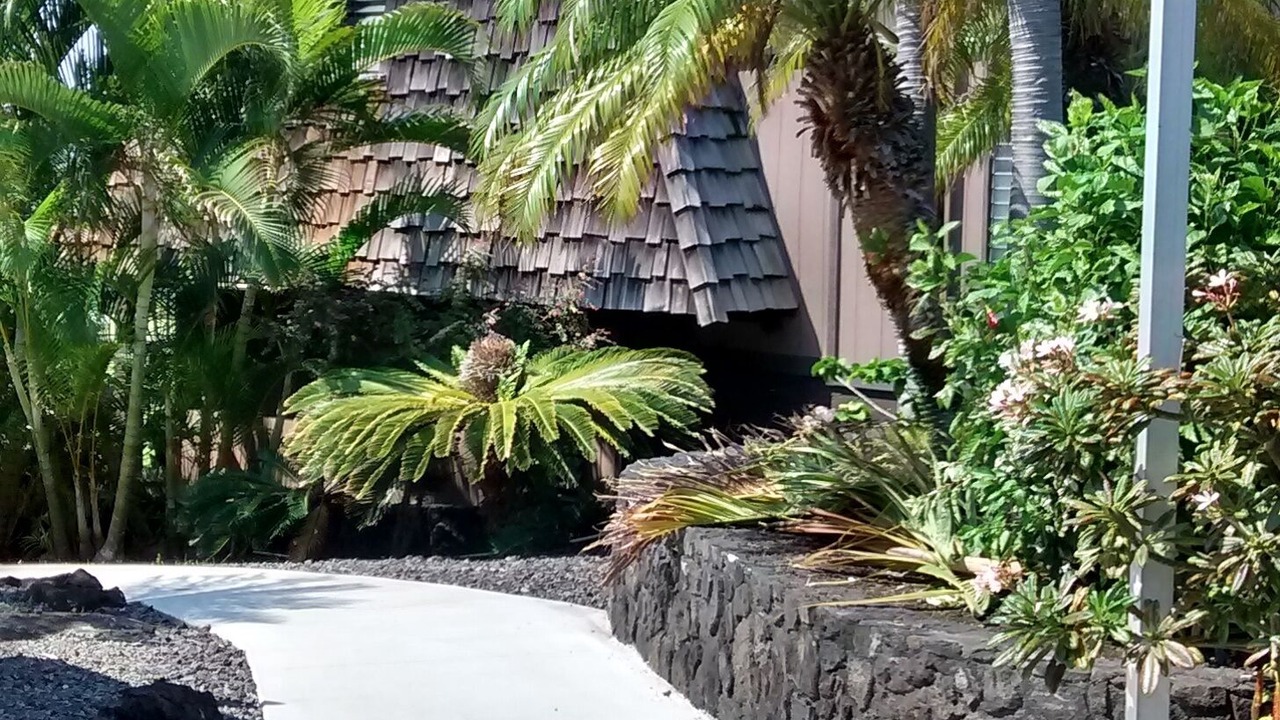Photo of Outdoor in Punaluu