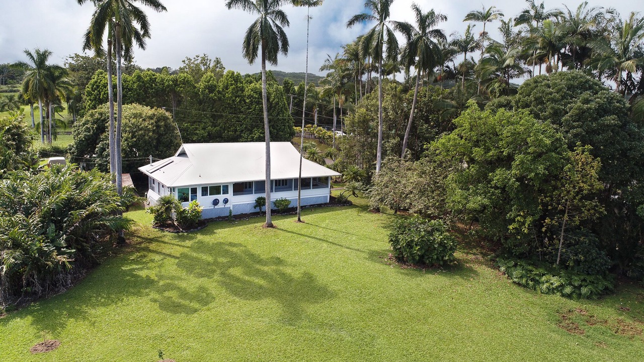 Photo of Others in Hilo