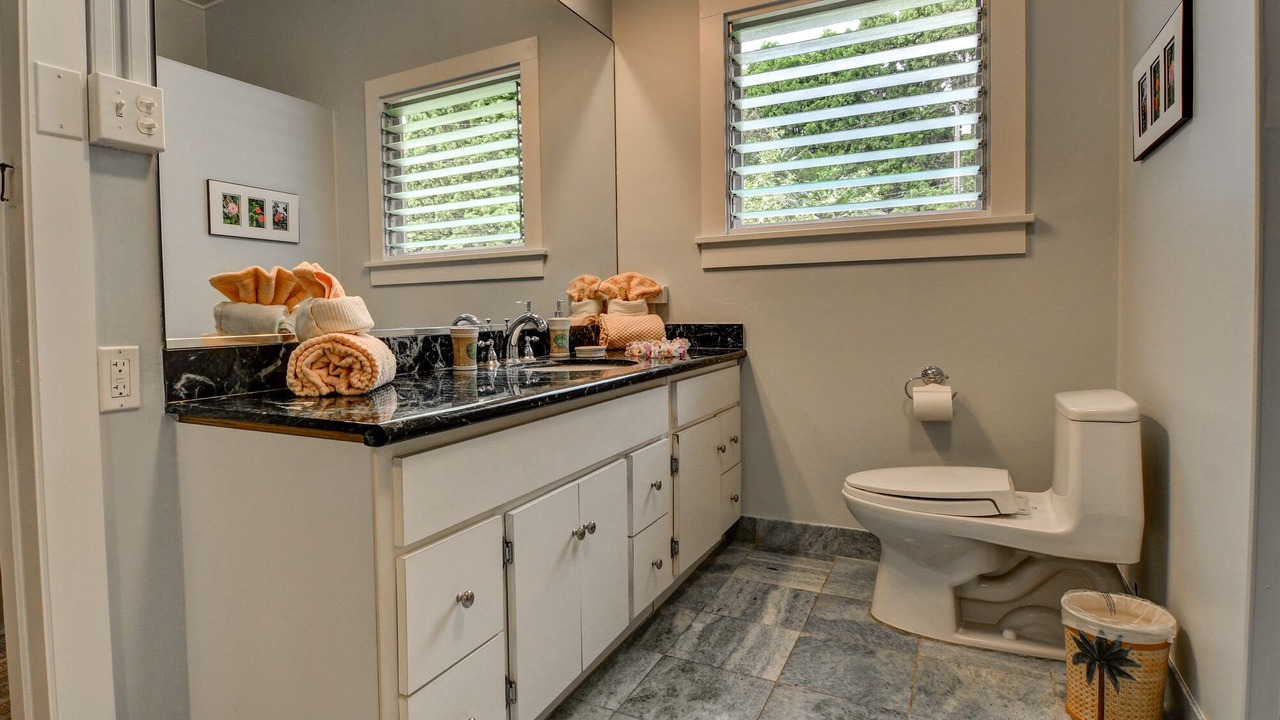 Photo of Bathroom in Hilo