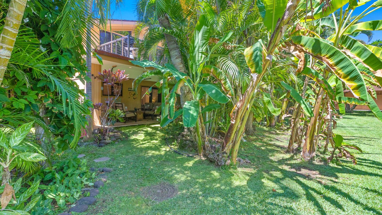 Photo of Outdoor in Downtown Lahaina