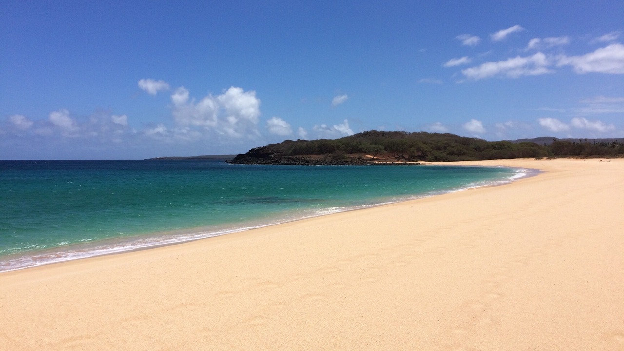 Photo of Others in Maunaloa