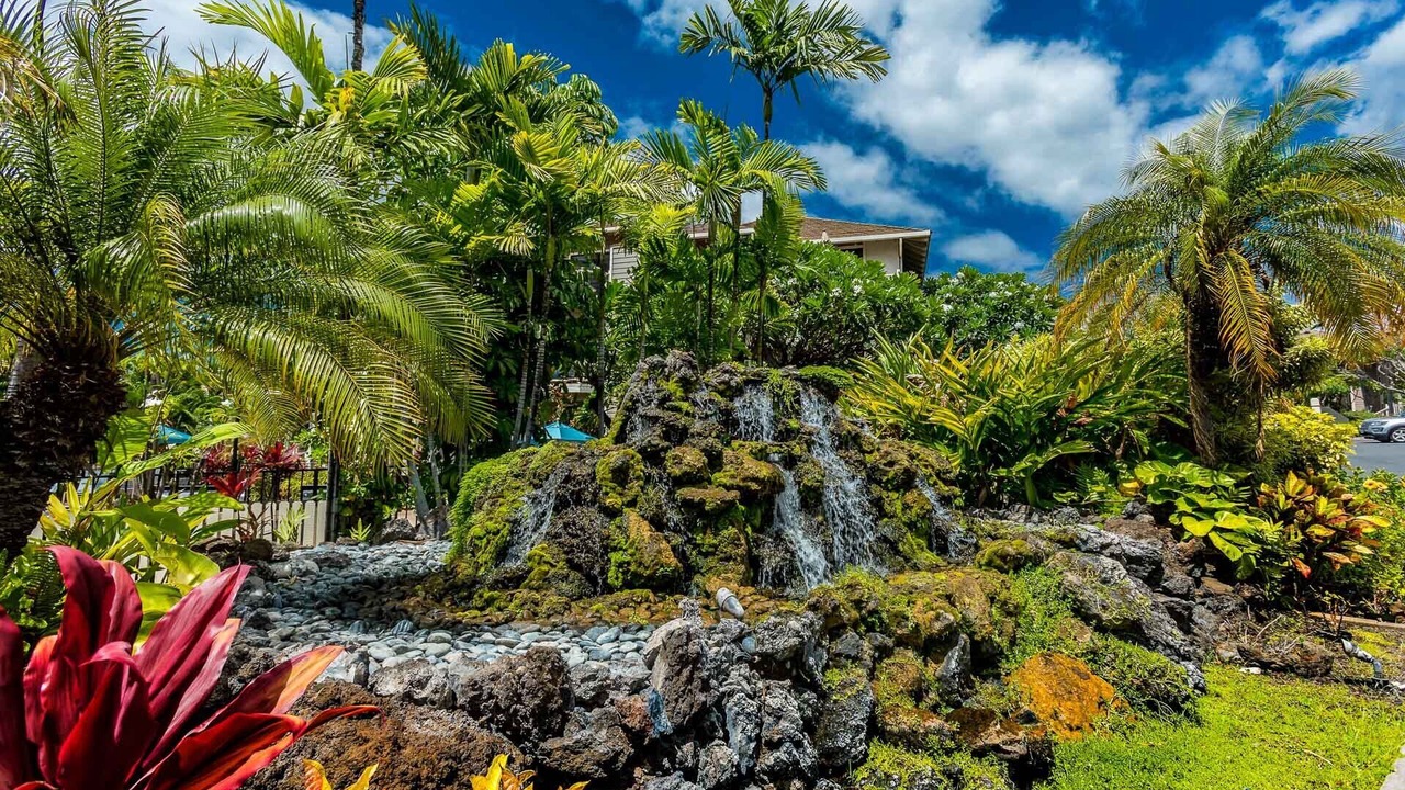 Photo of Others in Wailea