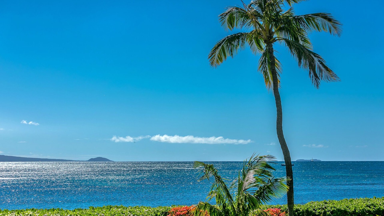 Photo of Others in Maalaea