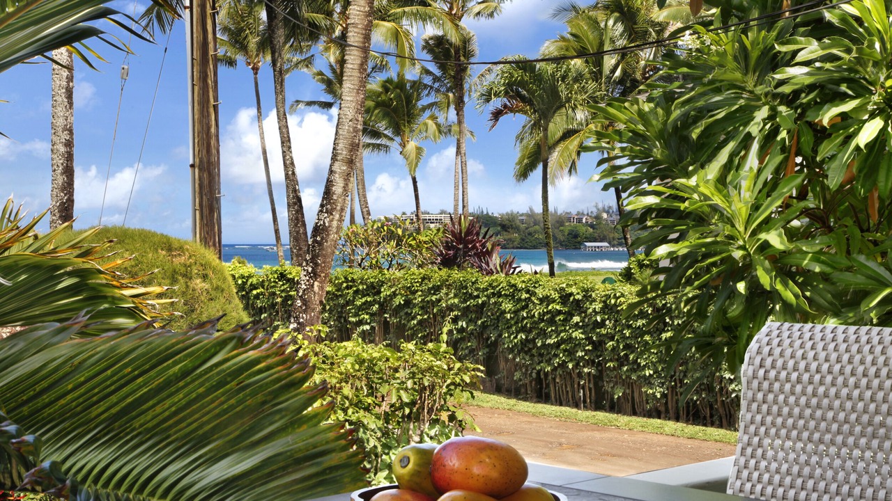 Photo of Others in Hanalei