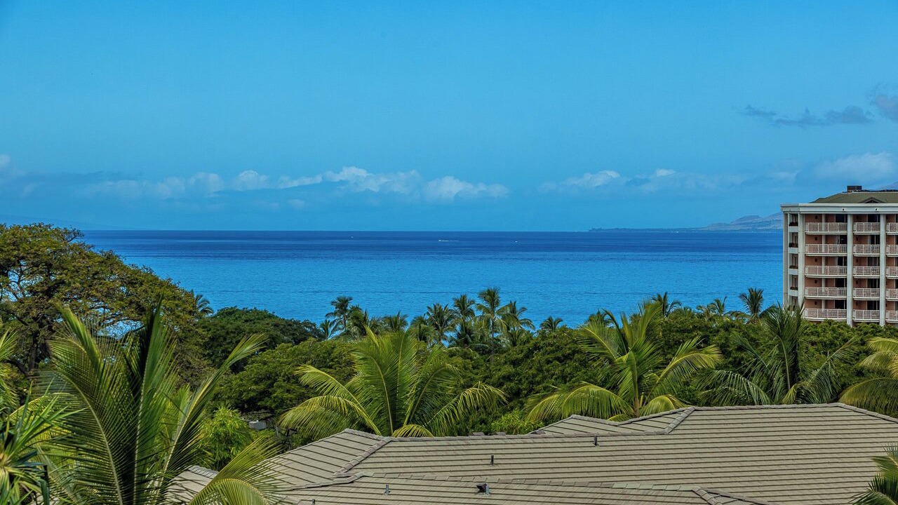 Photo of Others in Wailea