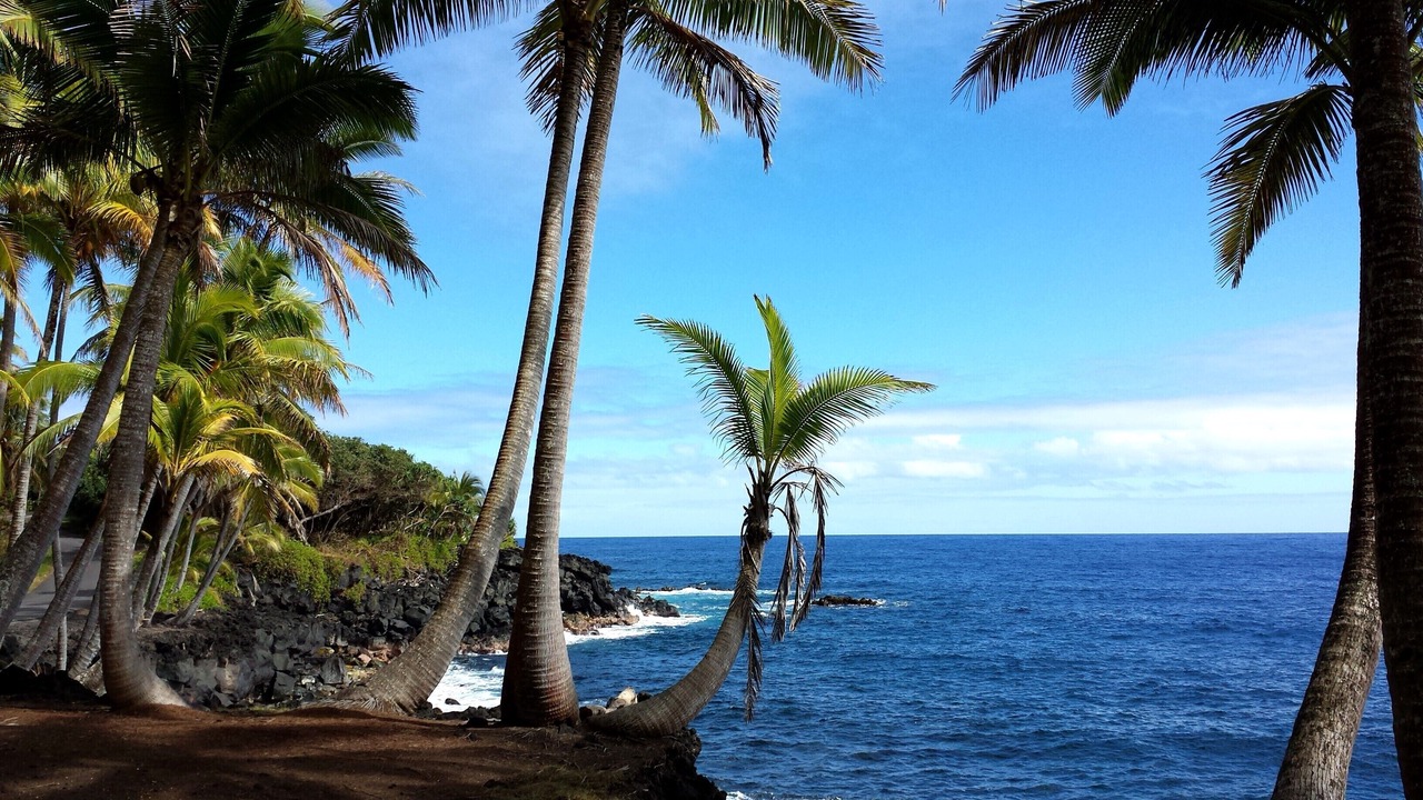 Photo of Others in Keaau