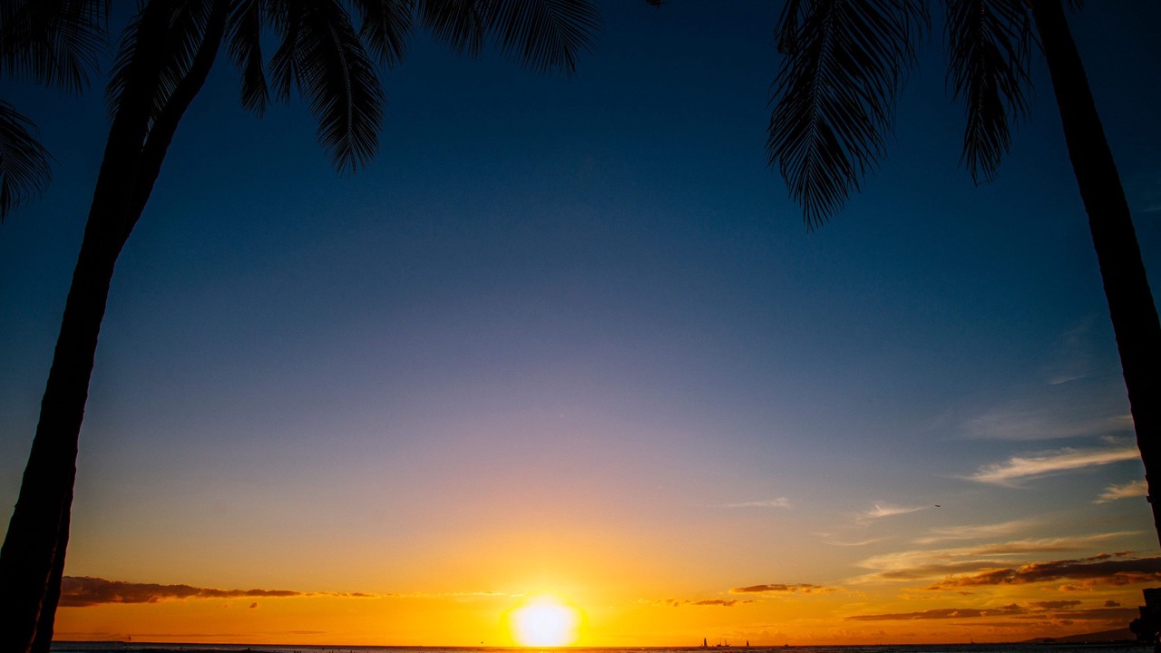 Photo of Others in Waikiki