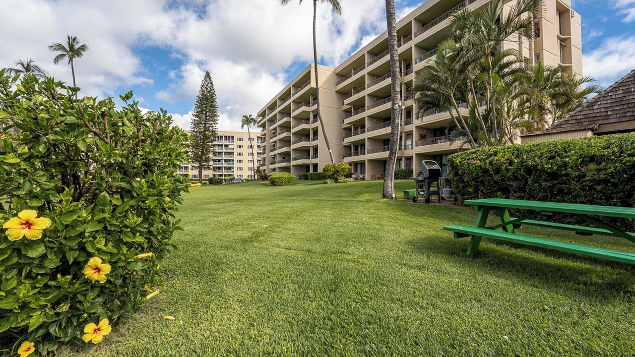 Photo of Outdoor in Kihei