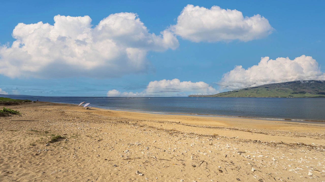 Photo of Others in Kihei