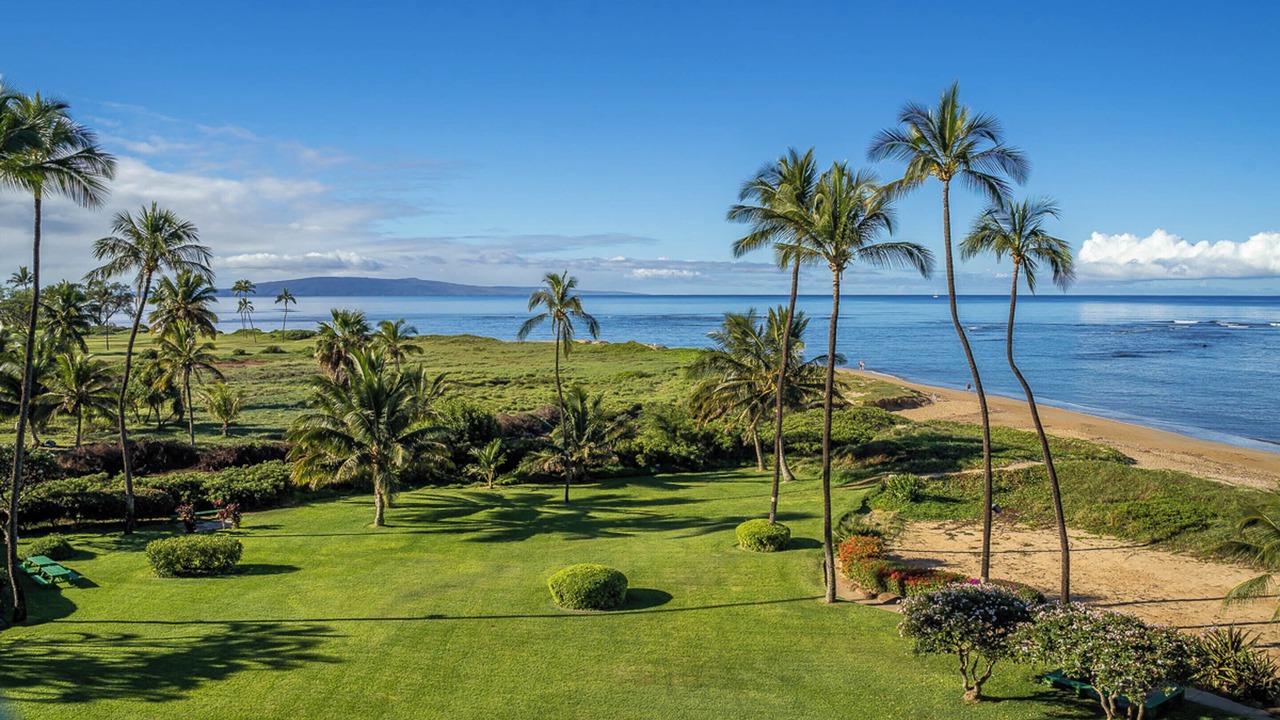 Photo of Others in Kihei