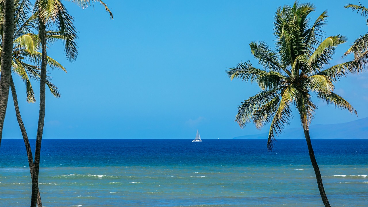 Photo of Others in Kihei
