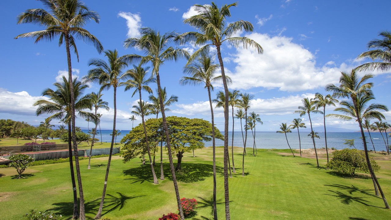Photo of Outdoor in Kihei