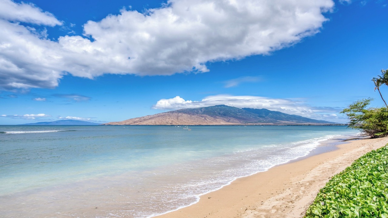 Photo of Others in Kihei