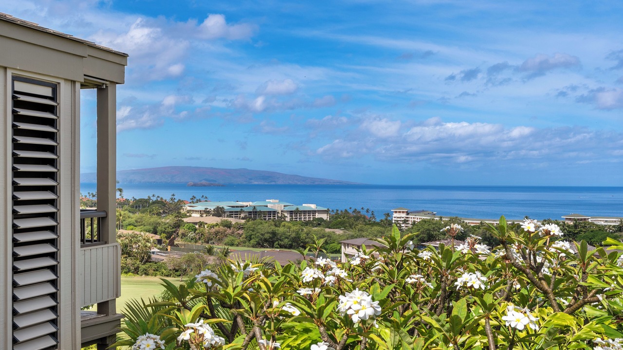 Photo of Others in Wailea