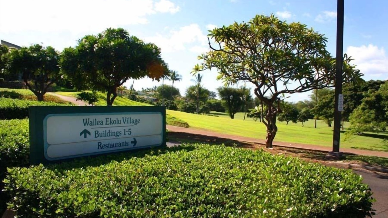 Photo of Outdoor in Wailea