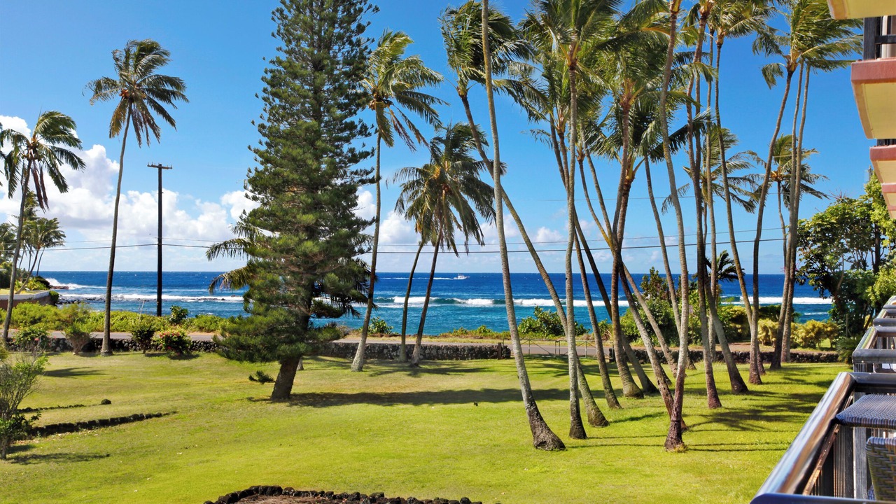 Photo of Others in Poipu