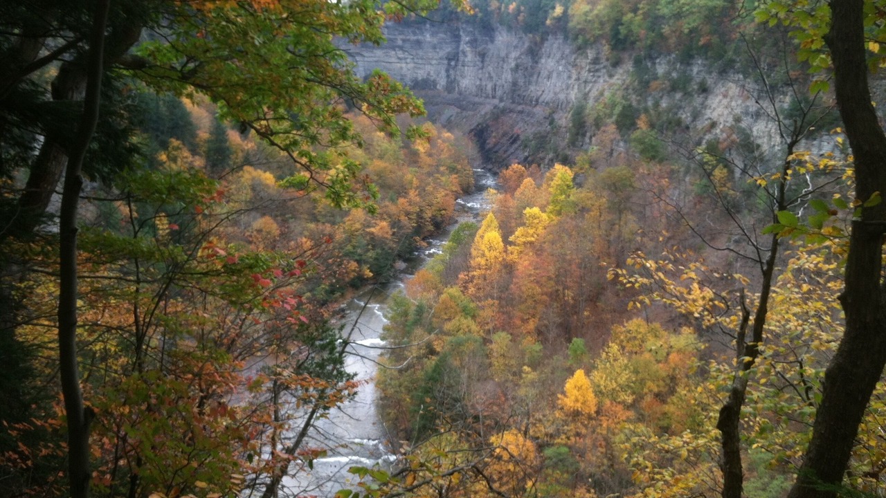 Photo of Outdoor in Ithaca