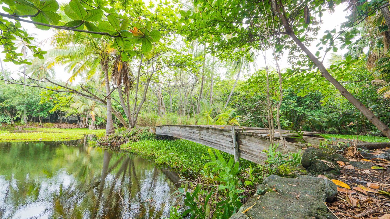Photo of Outdoor in Punaluu