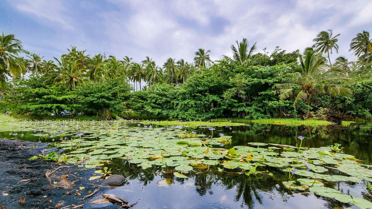 Photo of Others in Punaluu