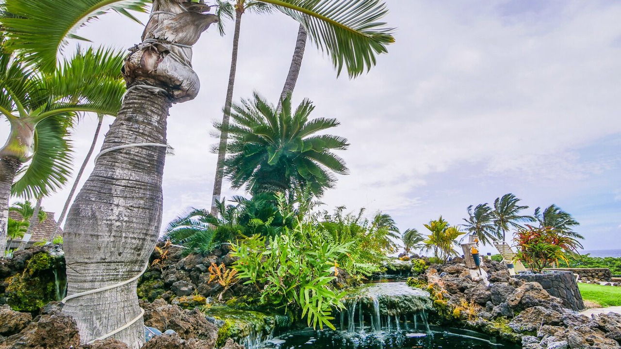 Photo of Outdoor in Punaluu