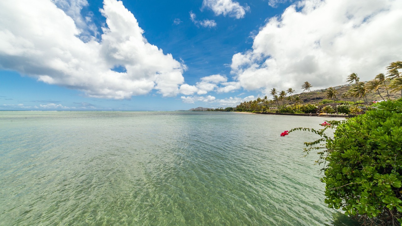 Photo of Others in Eastern Honolulu