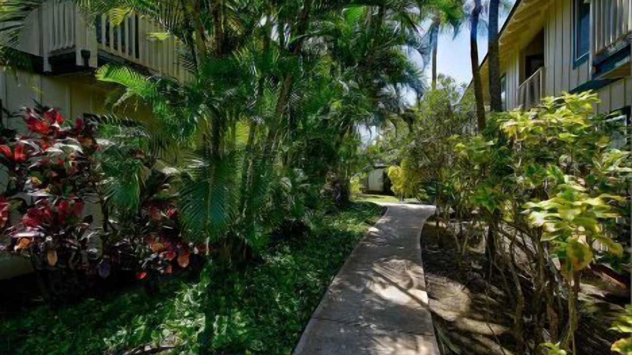Photo of Outdoor in Poipu