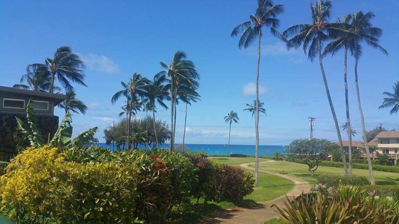 Photo of Others in Poipu