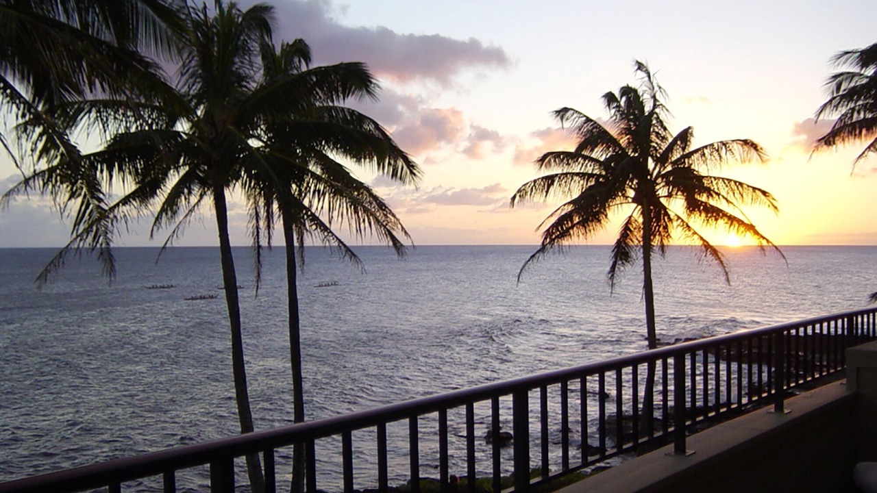 Photo of Others in Poipu