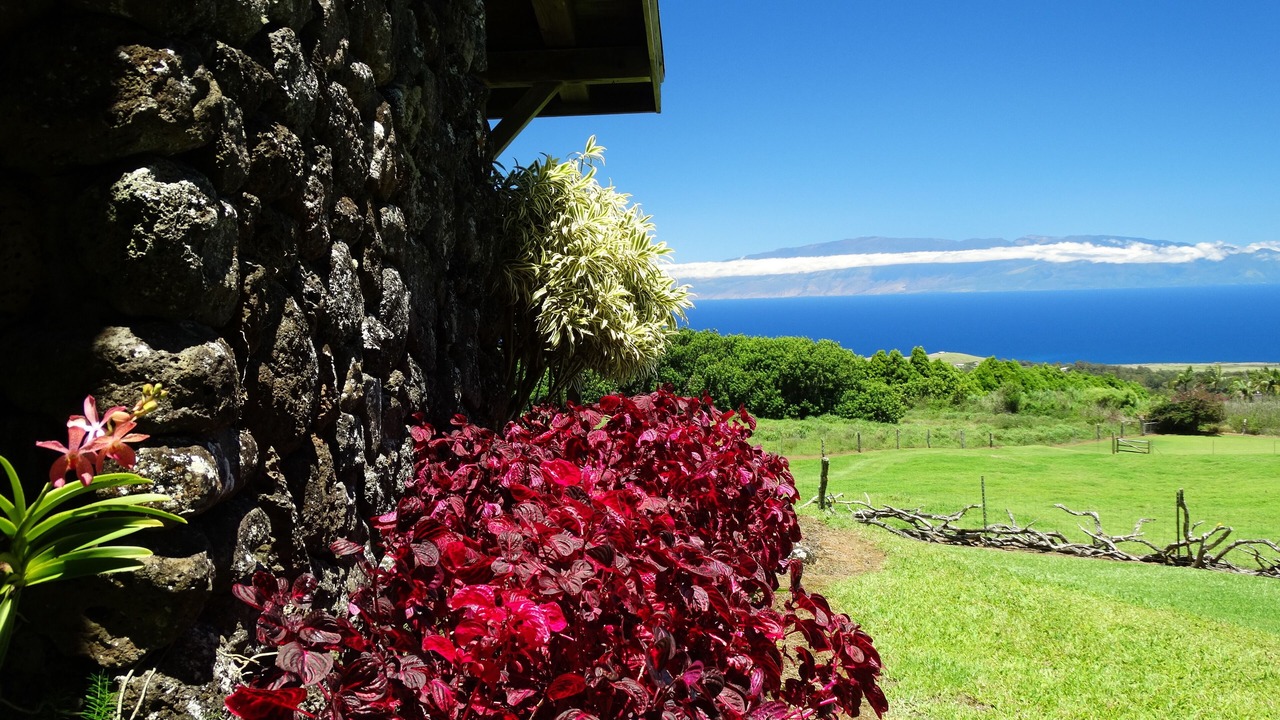 Photo of Others in Hawi