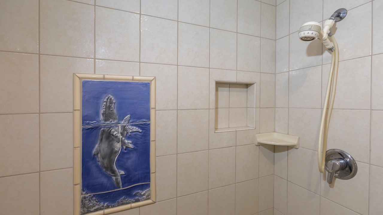 Photo of Bathroom in Wailea