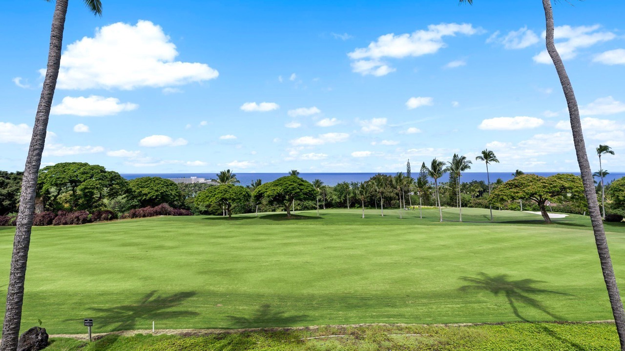 Photo of Others in Kahaluu-Keauhou