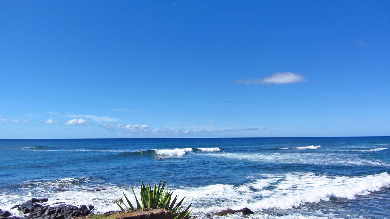 Photo of Others in Poipu